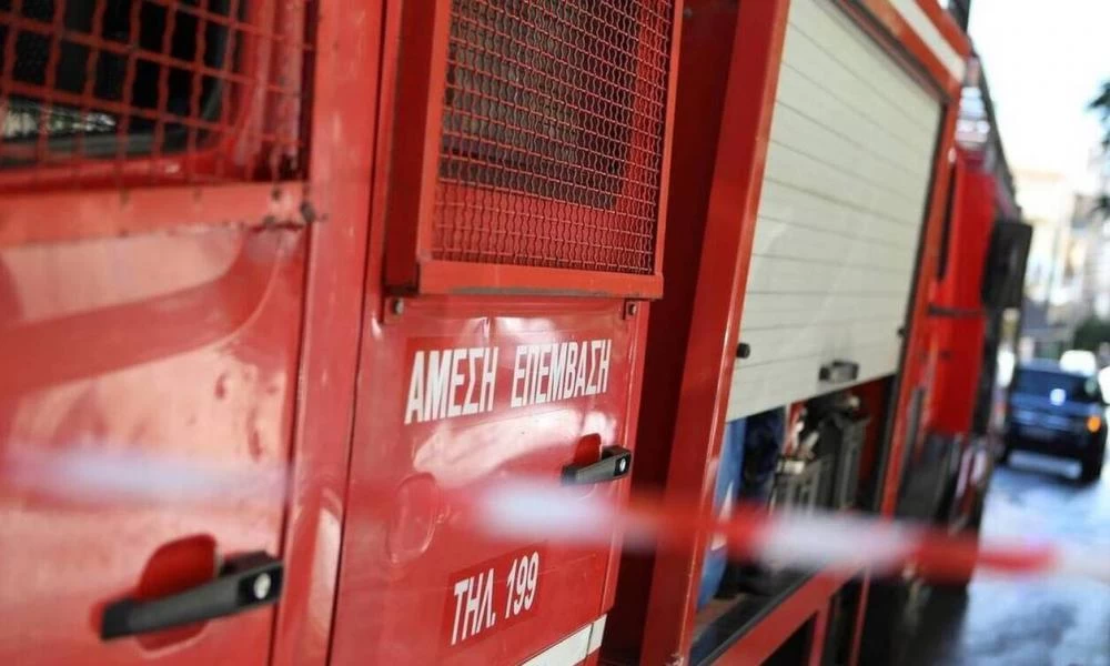 Παρανάλωμα του πυρός έγινε κτηνοτροφική μονάδα στην Καστοριά: Κάηκαν 250 αιγοπρόβατα-Υποψίες για εμπρησμό